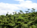 waitomo (44)